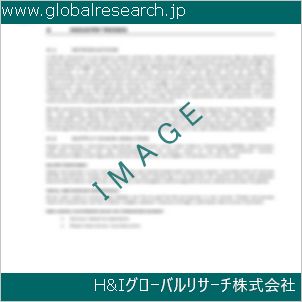 グローバルリサーチ調査資料のイメージ